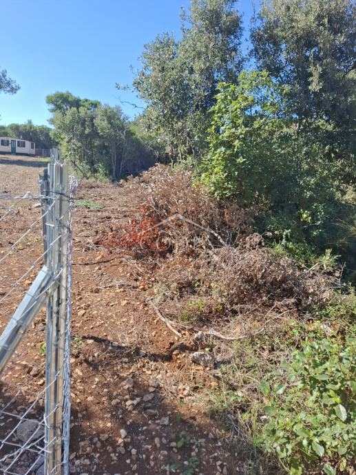 Zemljišče Ćunski, Mali Lošinj, 3.600m2