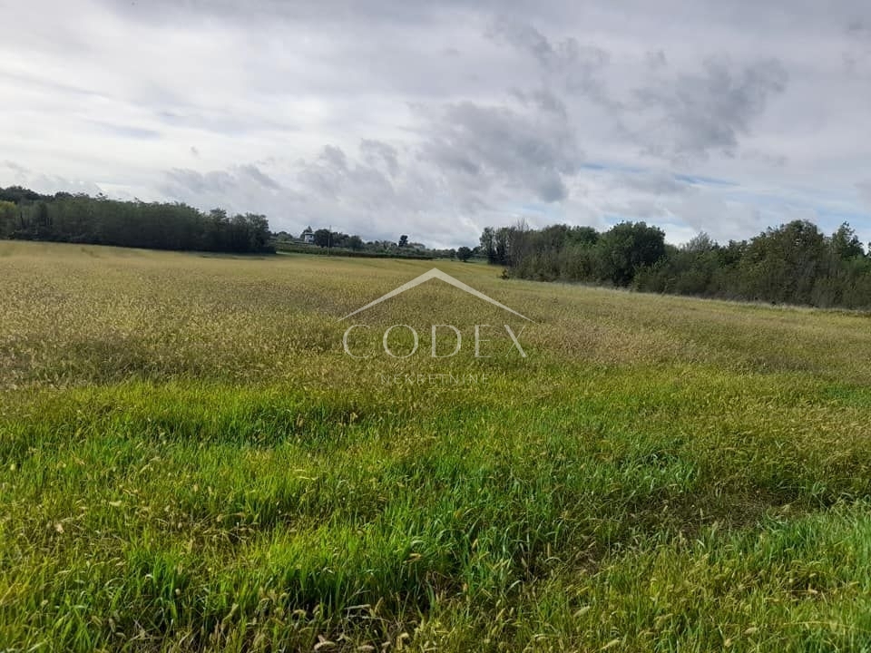 Vižinada - kmetijsko zemljišče na odlični lokaciji