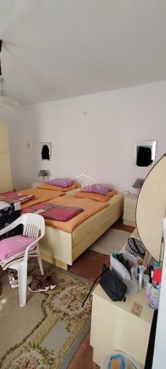 Drivenik - starodobnik z veliko potenciala!