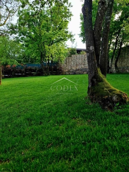 Barban - čudovita vila z bazenom