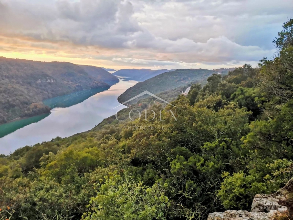 Sveti Lovreč - prodaja kmetijskega zemljišča