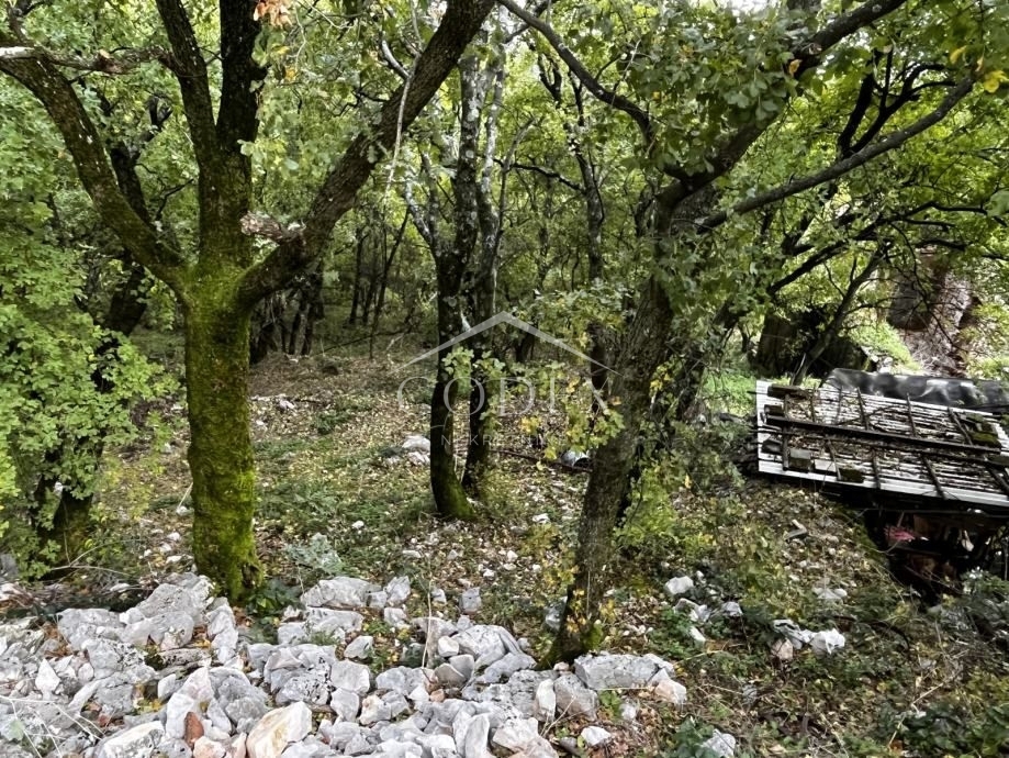 Hreljin - prodaja kmetijskega zemljišča z ruševinami