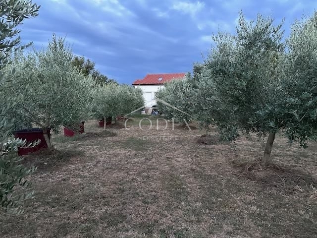 Porat - hiša v mirnem okolju, izven naselja