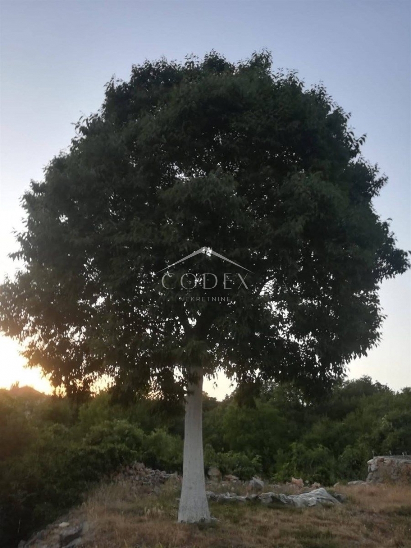 Kras – prodaja hiše na Krku