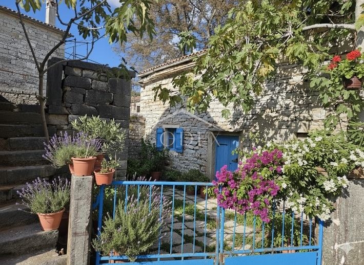 Istra, okolica Tinjana – kamnita hiša z dvoriščem naprodaj