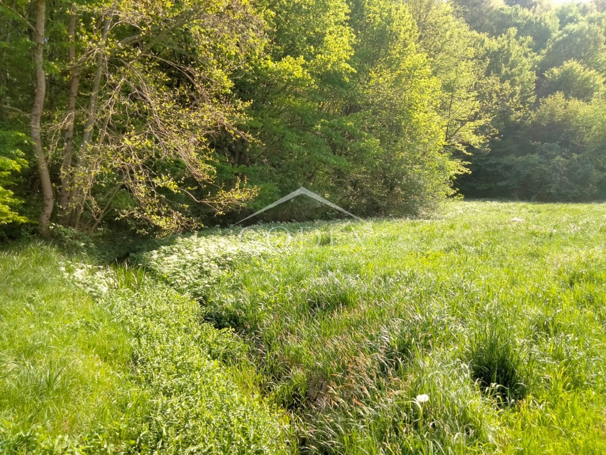 Karlovac, Belaj – prodaja hiše za adaptacijo z veliko parcelo