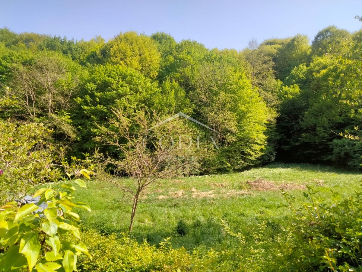 Karlovac, Belaj – prodaja hiše za adaptacijo z veliko parcelo