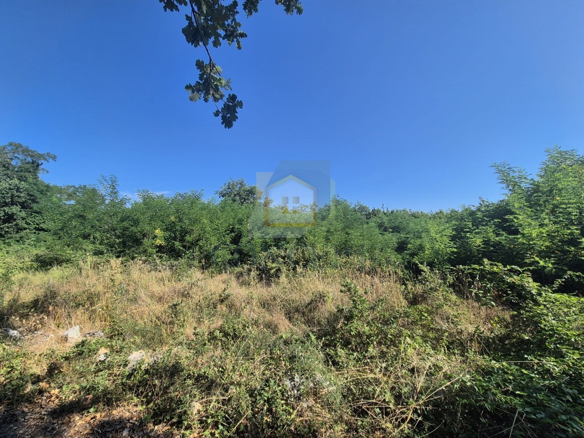 Poreč, okolica, Građevinsko zemljišče s projektom, 12 km od morja