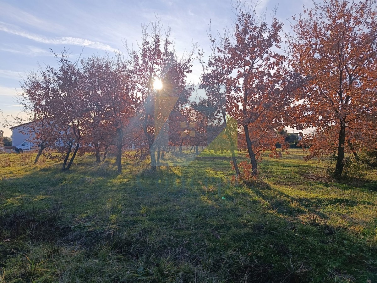Poreč, okolica, Gradbeni zemljišče na lepi lokaciji 6 km od morja