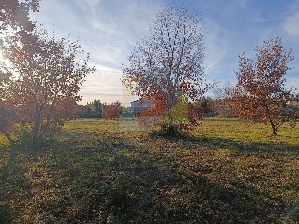 Poreč, okolica, Gradbeni zemljišče na lepi lokaciji 6 km od morja