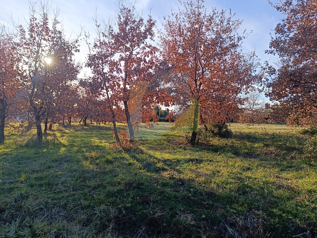 Poreč, okolica, Gradbeni zemljišče na lepi lokaciji 6 km od morja