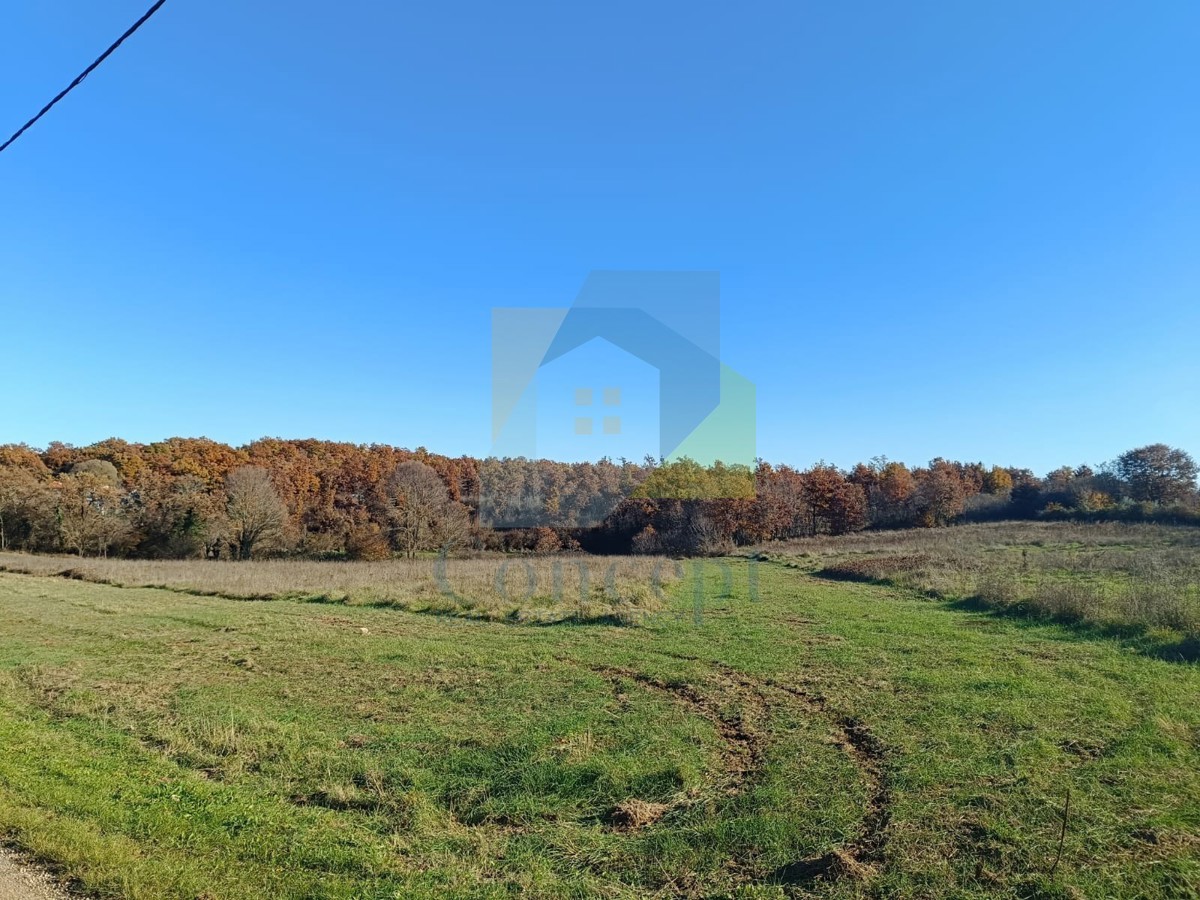 Poreč, okolica, Veliko posestvo s hišo za renovacijo