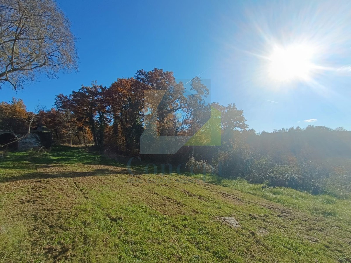 Poreč, okolica, Veliko posestvo s hišo za renovacijo