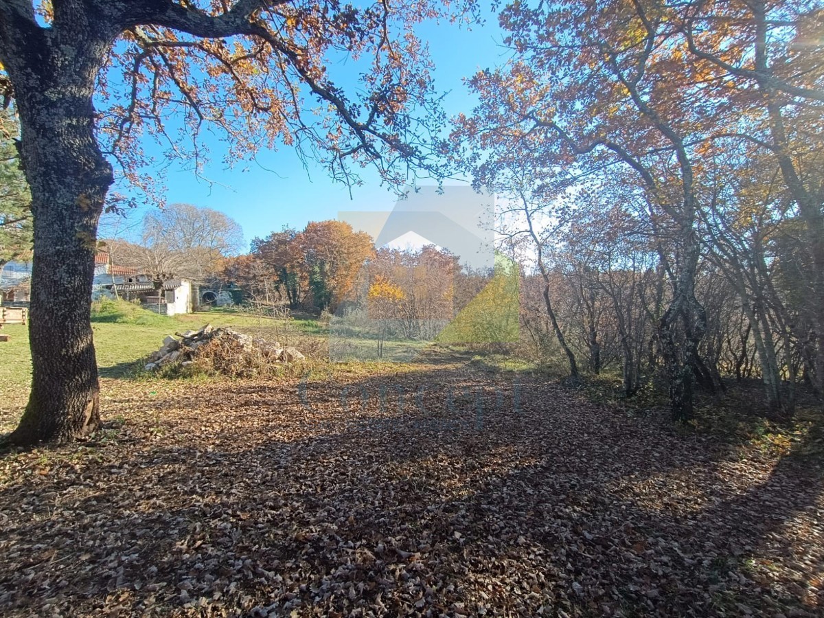 Poreč, okolica, Veliko posestvo s hišo za renovacijo