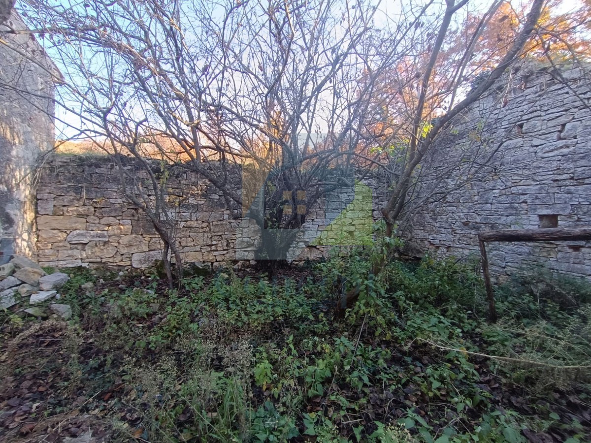 Poreč, okolica, Veliko posestvo s hišo za renovacijo