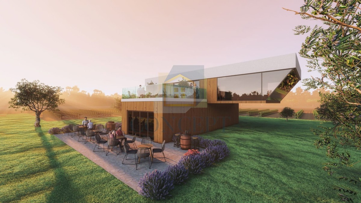 Buje, okolica, Prekrasno zemljište, idealno za gradnjo vinske kleti