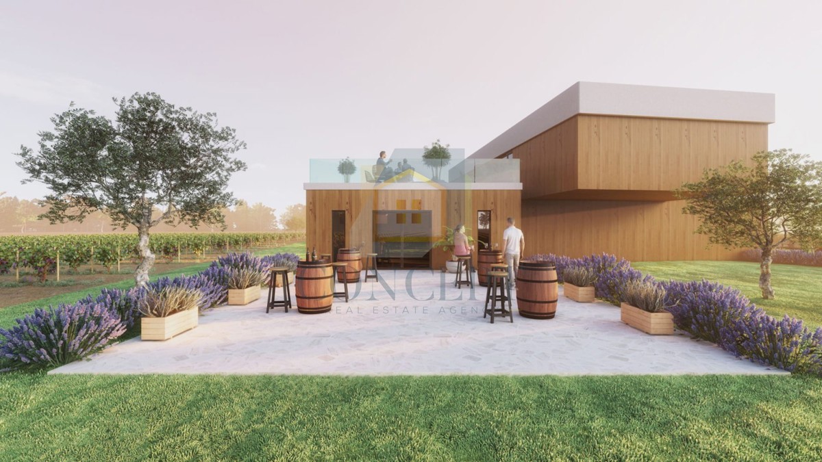 Buje, okolica, Prekrasno zemljište, idealno za gradnjo vinske kleti