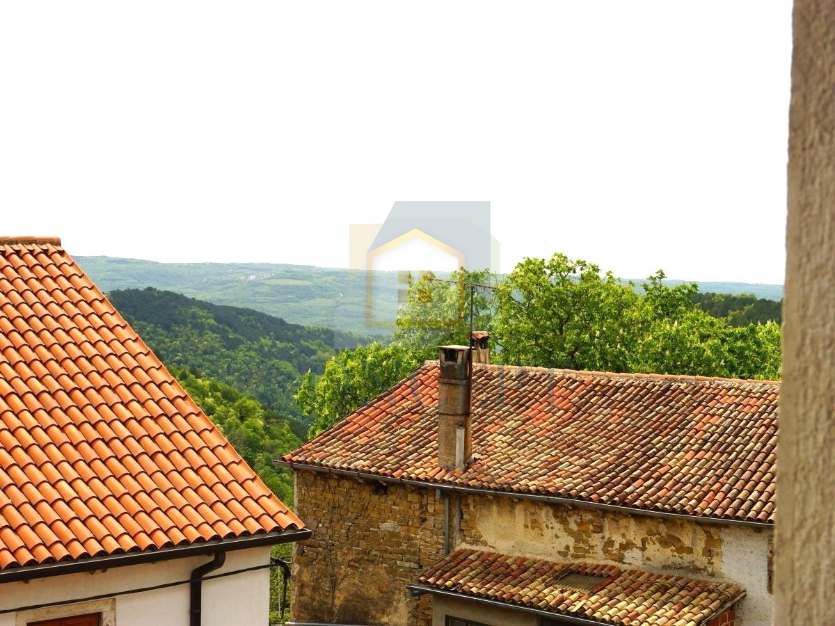 Istra, Oprtalj, Kamena hiša s 3 apartmaji in dvema poslovnima prostoroma