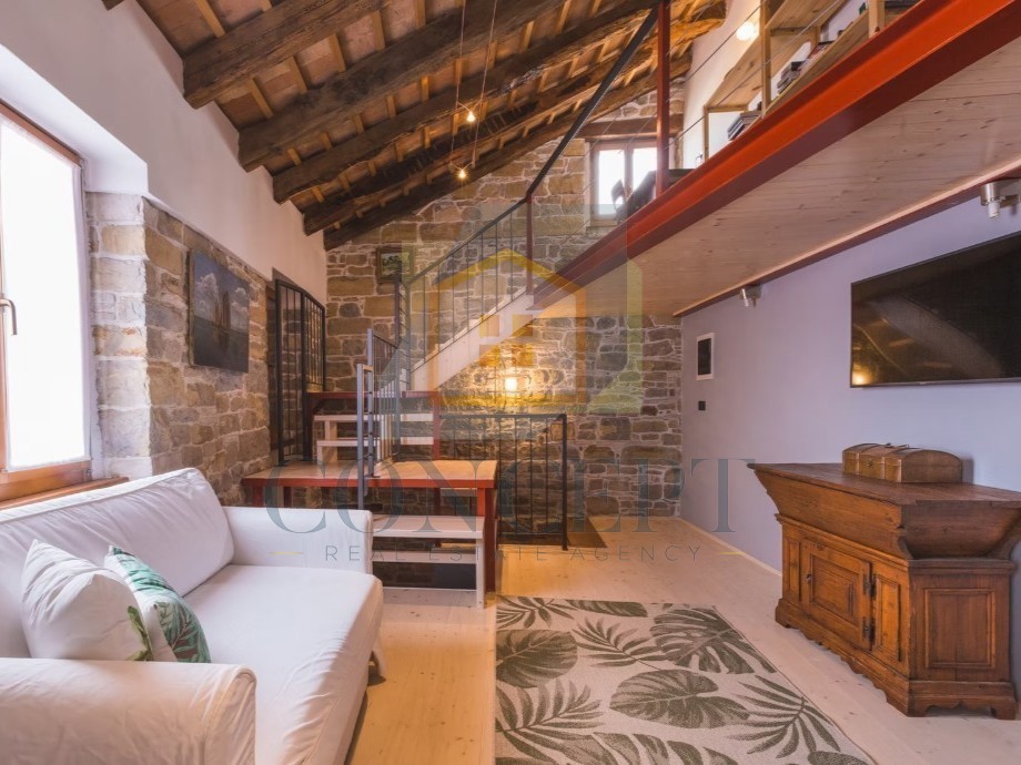 Istra, Oprtalj, Kamena hiša s 3 apartmaji in dvema poslovnima prostoroma