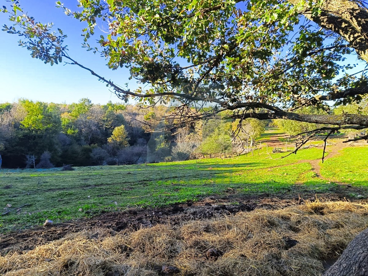 Poreč, okolica, Građevinsko zemljišče na robu naselja