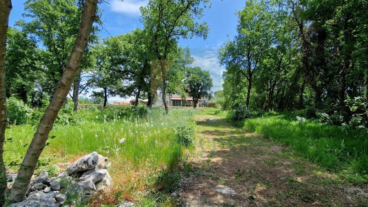 Poreč, okolica, Renovirana autohtona istarska kuća s velikim dvorištem