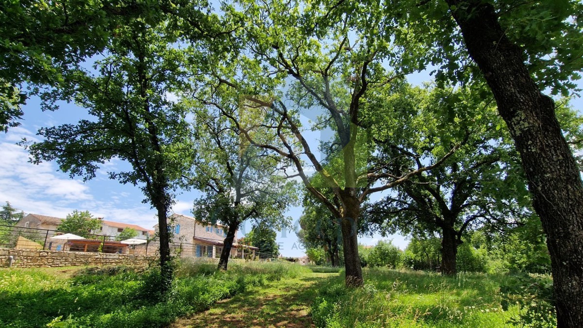 Poreč, okolica, Renovirana autohtona istarska kuća s velikim dvorištem