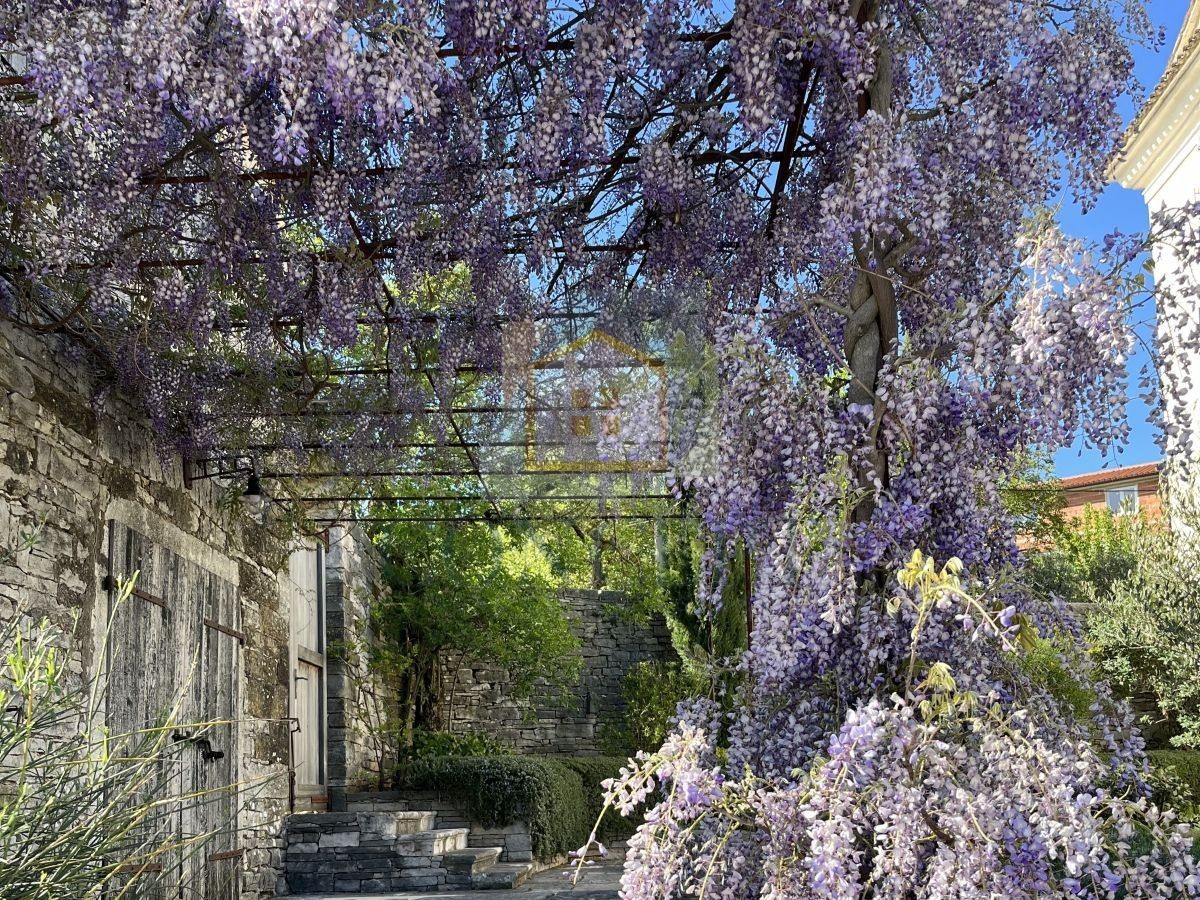 Buje, okolica, Luksuzno beneško posestvo na čudoviti lokaciji