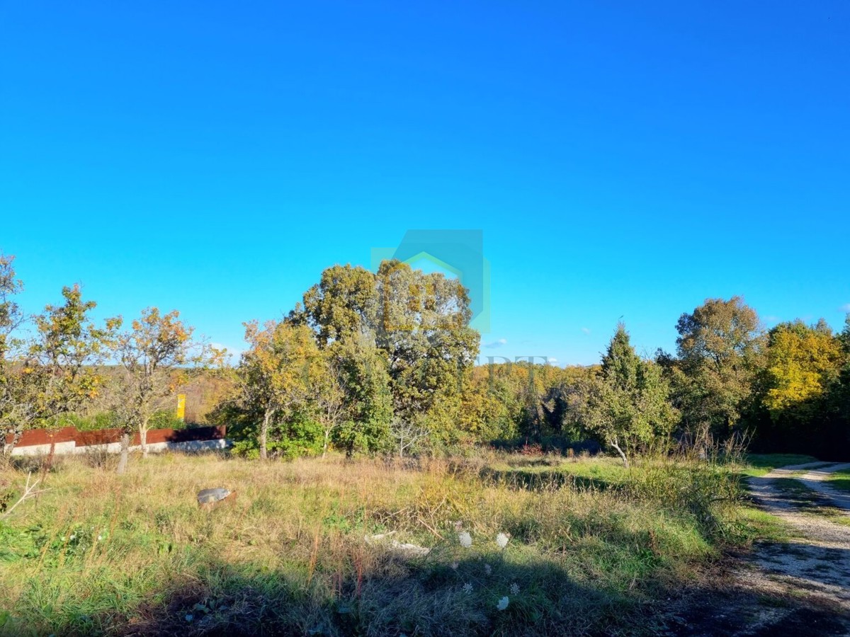 Buje, okolica, Građevinsko zemljišče 2100 m2, 7 km od morja