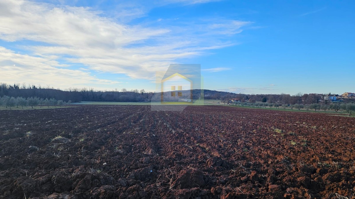 Poreč, okolica, Gradbena zemljišča na mirni lokaciji, 8 km od morja