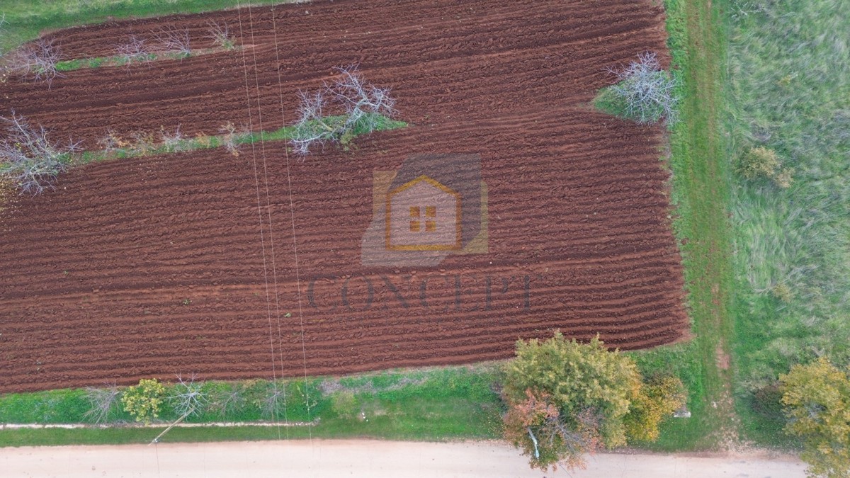 Poreč, okolica, Građevinsko zemljišče s pogledom na morje, 12 km od morja