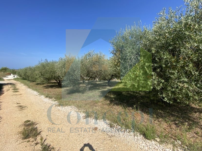 Poreč, Vrsar, okolica, Samostoječa hiša s 4 stanovanjske enote in pogledom na morje, 5 km od morja