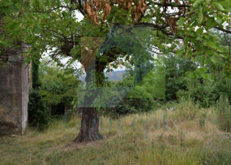 Motovun, okolica, Imanje za obnovo na hribu s pogledom na Motovun in naravo, PRILOŽNOST za investitorje