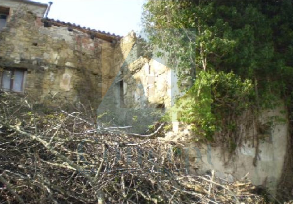 Motovun, okolica, Imanje za obnovo na hribu s pogledom na Motovun in naravo, PRILOŽNOST za investitorje