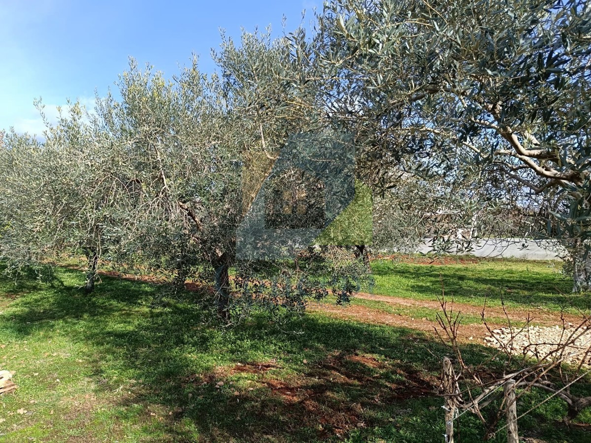 Poreč, okolica, Građevinsko zemljišče s pogledom na morje