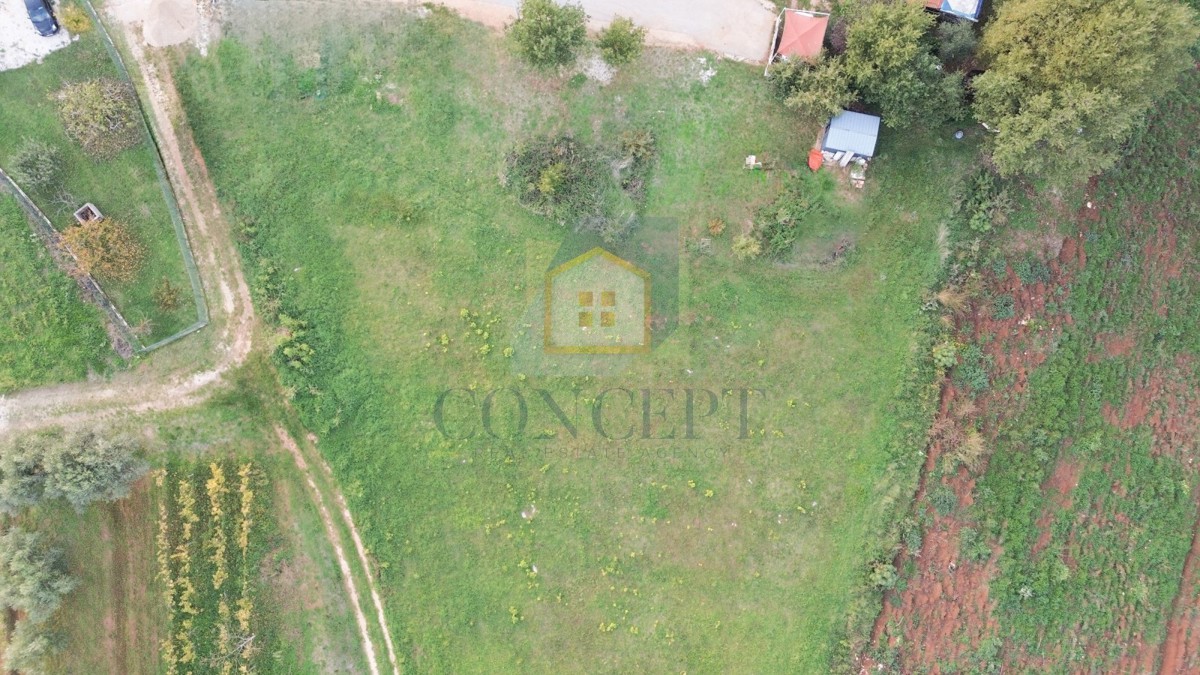 No translation could be generated. Please check the input or API configuration.