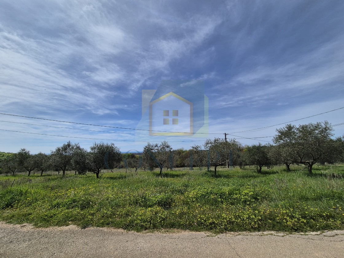 Rovinj, Bale, okolica - EKSKLUZIVA AGENCIJE - Gradbena zemljišča s pogledom na morje, 16 km od morja