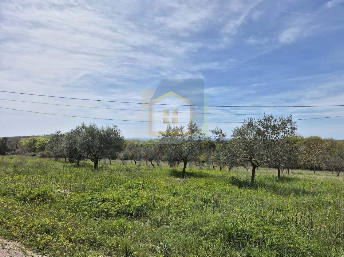 Rovinj, Bale, okolica - EKSKLUZIVA AGENCIJE - Gradbena zemljišča s pogledom na morje, 16 km od morja