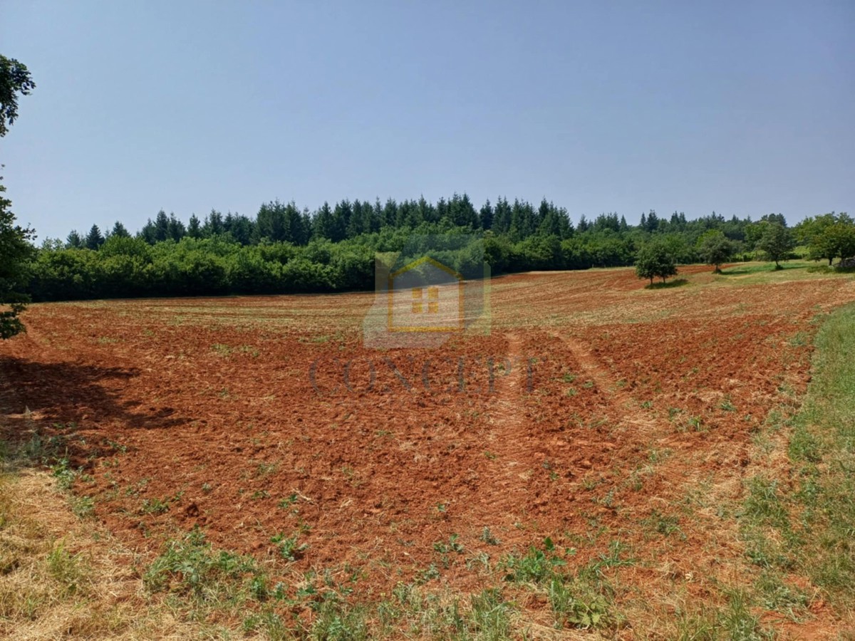 Poreč, Vižinada, okolica, Prostrano kmetijsko zemljišče, 400 m od naselja