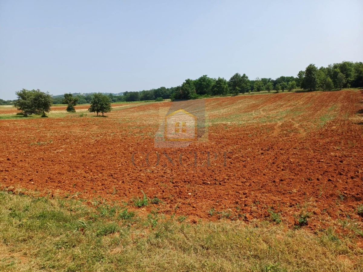 Poreč, Vižinada, okolica, Prostrano kmetijsko zemljišče, 400 m od naselja