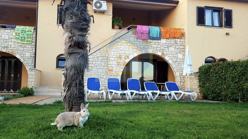 Poreč, okolica, Hiša v nizu s skupnim bazenom, 12 km od morja