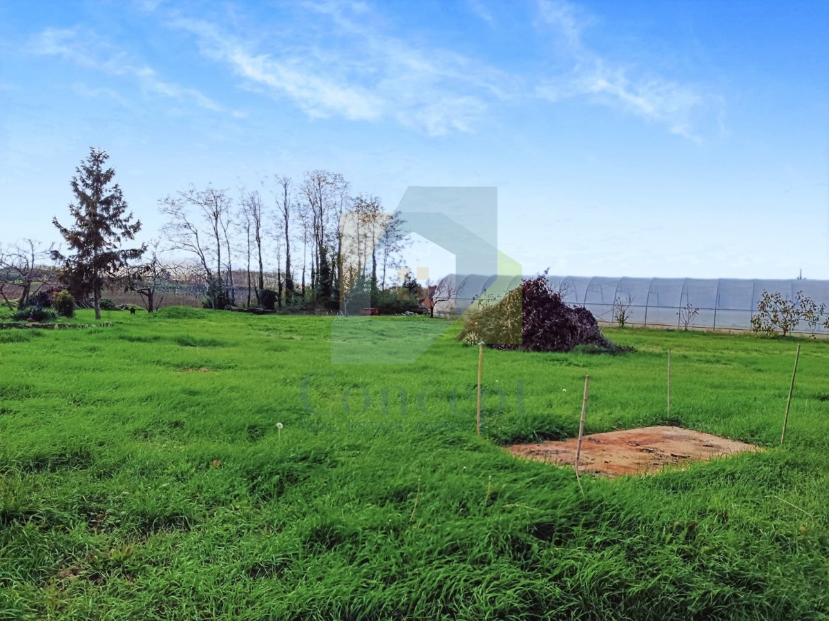 Poreč, okolica Građevinsko zemljišče na robu gradbene cone s pogledom na morje