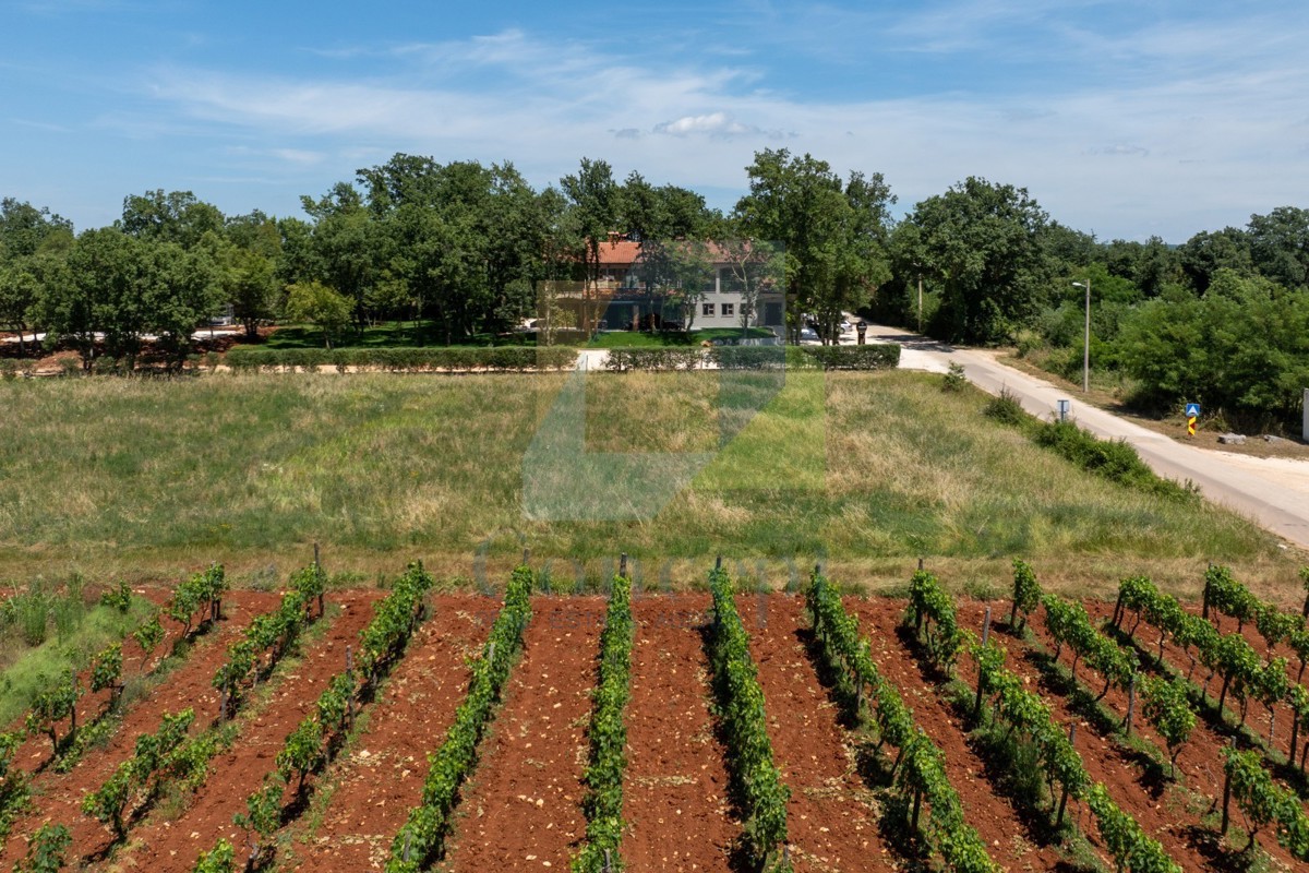 Poreč, okolica, butični hotel s restoranom i vsebino