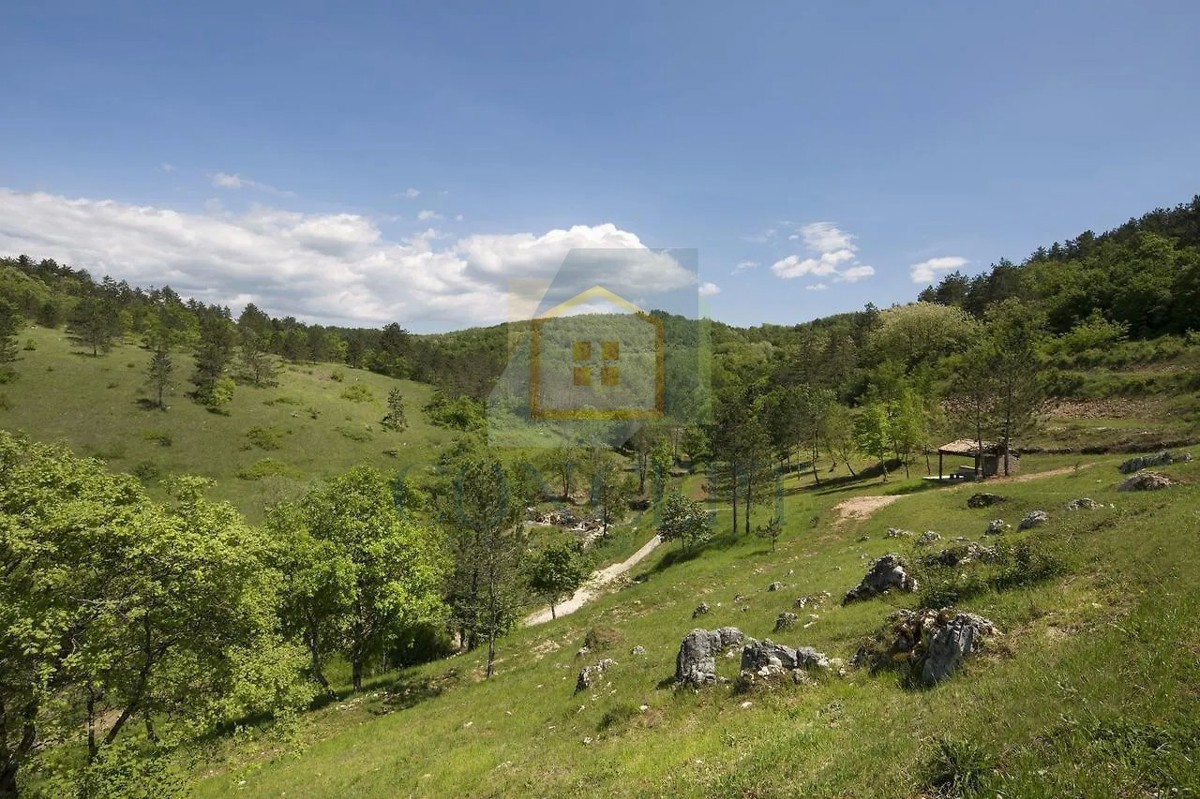 Pazin, Motovun, okolica, turistični resort, penzion, hiše in kamp na 33.000 m2