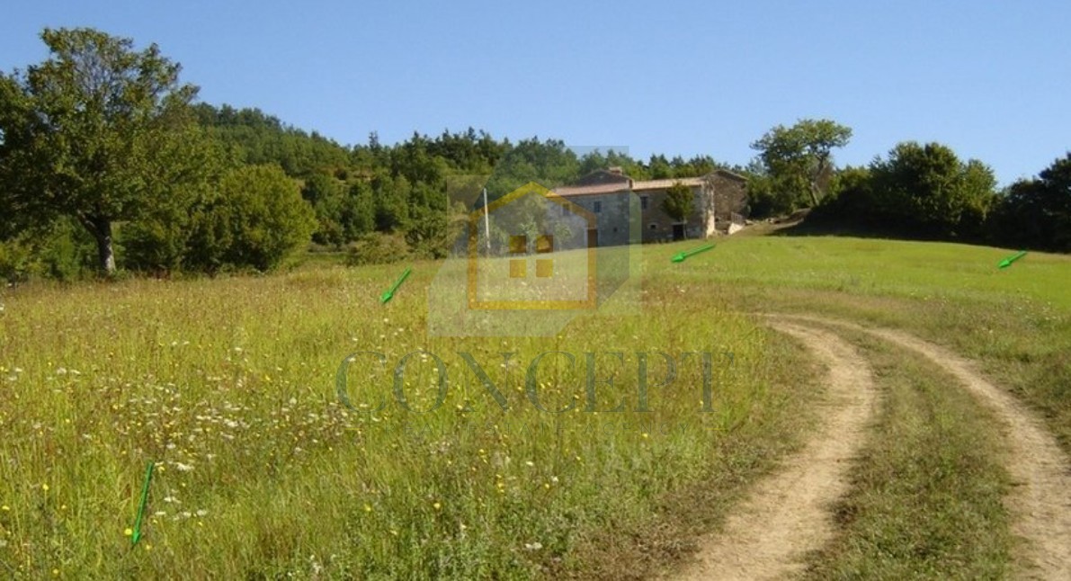 Poreč, Karojba, okolica, Veliko zemljišče 12550 m2, 1900 m2 stavbnega zemljišča, 20 km od morja