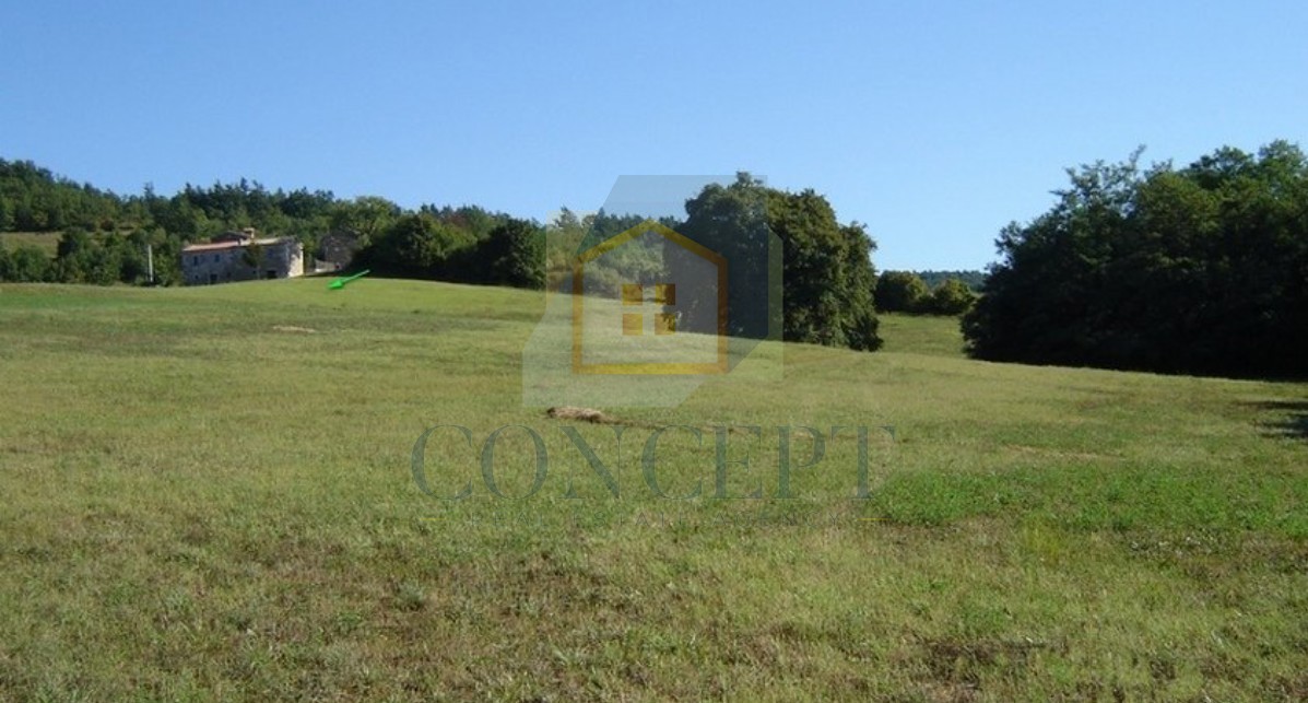 Poreč, Karojba, okolica, Veliko zemljišče 12550 m2, 1900 m2 stavbnega zemljišča, 20 km od morja