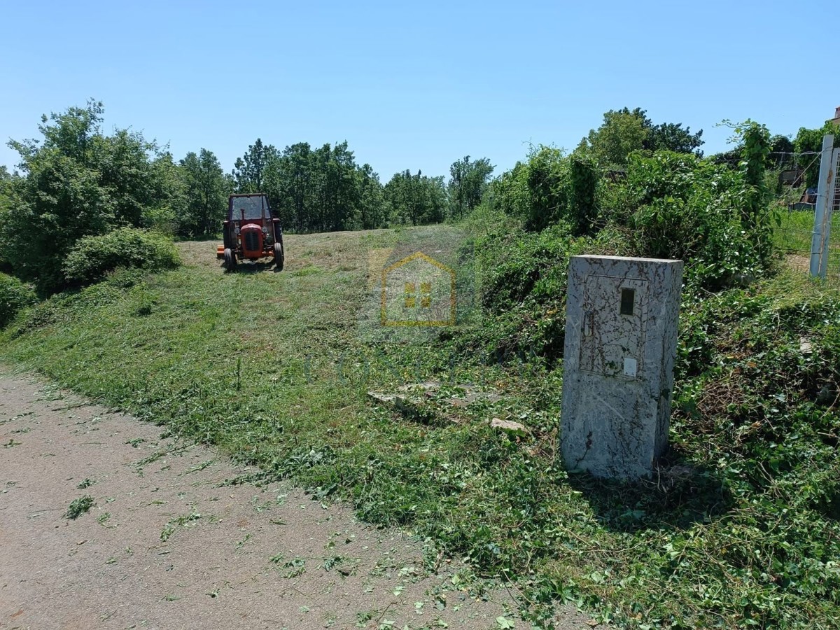 Poreč, Vižinada, okolica, Gradbena parcela z gradbenim dovoljenjem, 17 km od morja