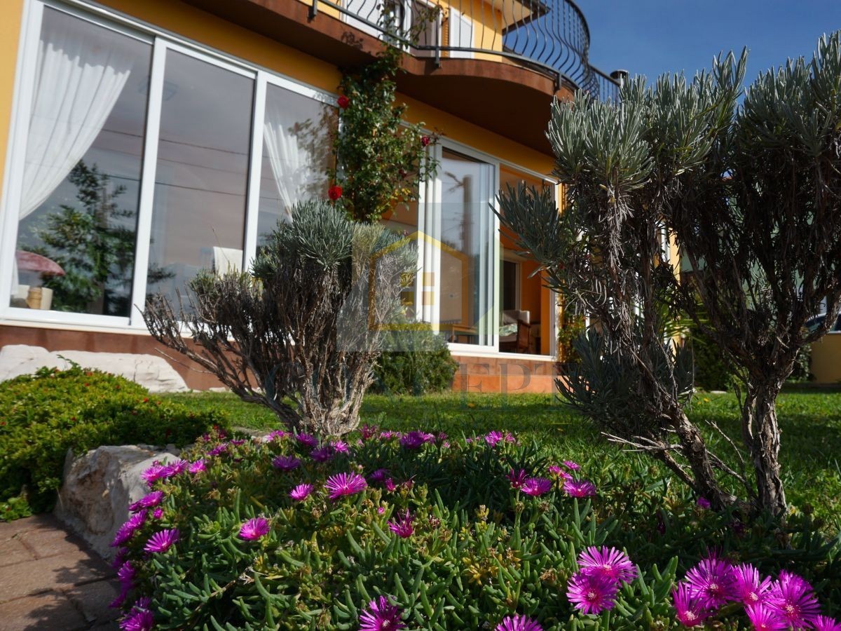 Poreč, okolica, družinska hiša s bazenom in pogledom na morje, 12 km od morja