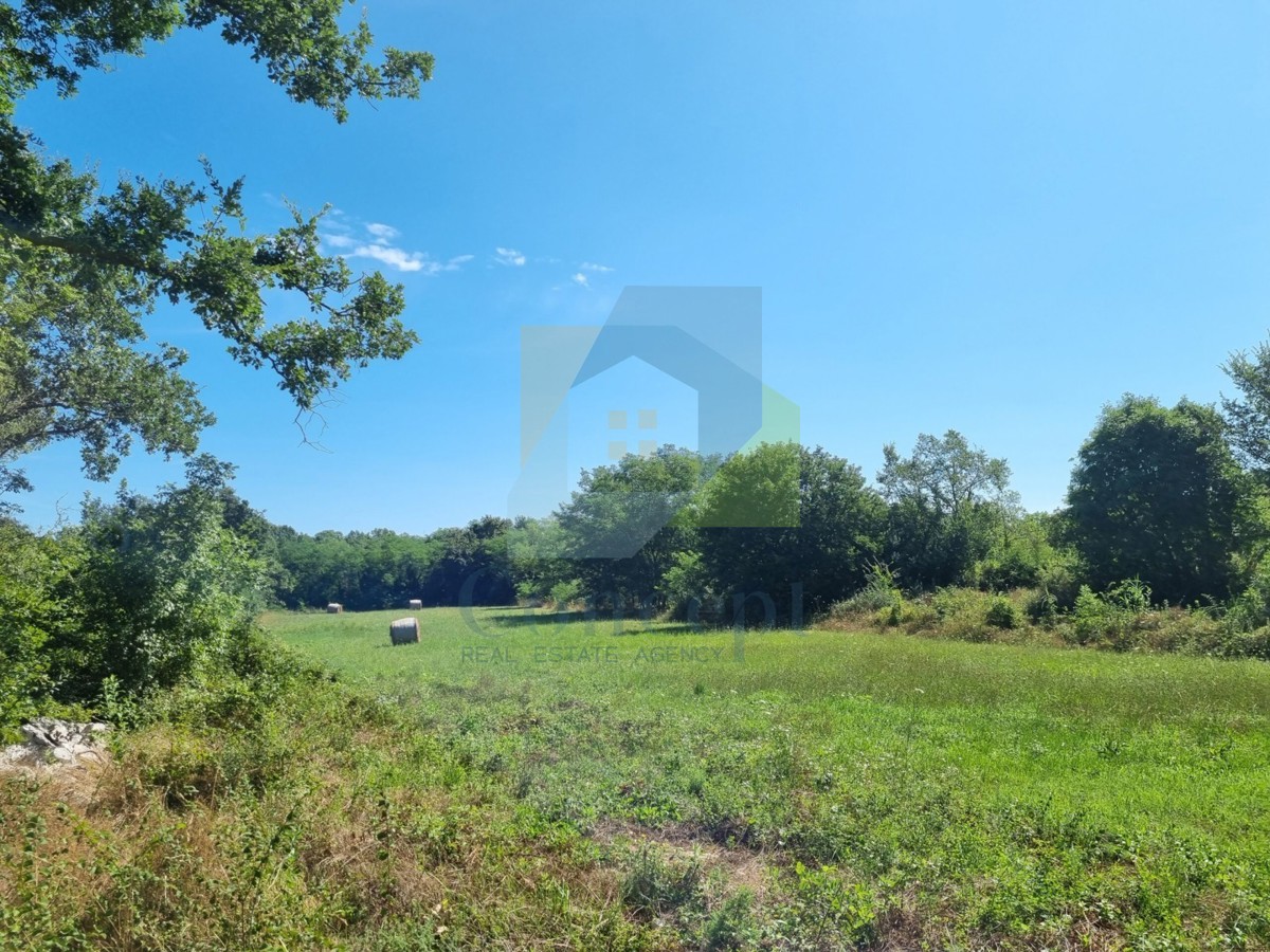 Poreč, Baderna - EKSKLUZIVA AGENCIJE - Gradbena zemljišča z negrađevinskimi, 20 km od morja