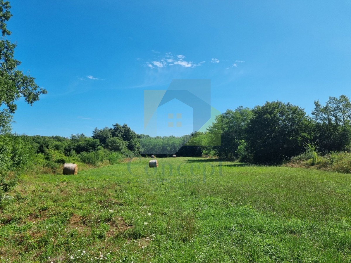 Poreč, Baderna - EKSKLUZIVA AGENCIJE - Gradbena zemljišča z negrađevinskimi, 20 km od morja