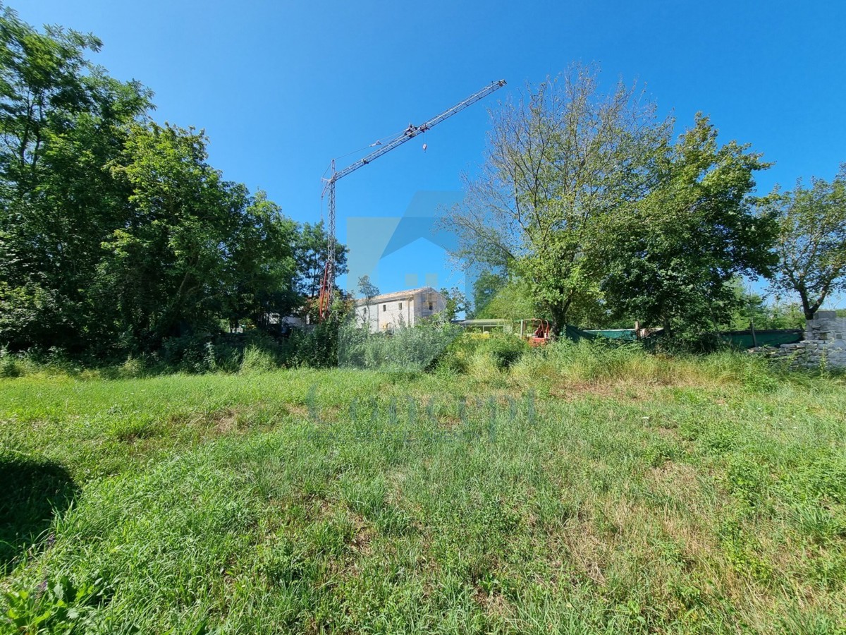 Poreč, Baderna - EKSKLUZIVA AGENCIJE - Gradbena zemljišča z negrađevinskimi, 20 km od morja